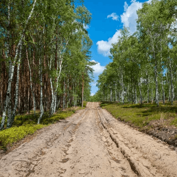 storm season firebreaks