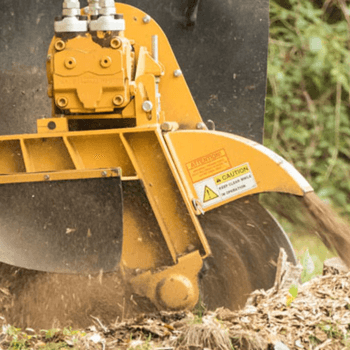 Pine Rivers stump removal
