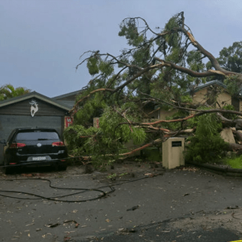 strata landscaping service