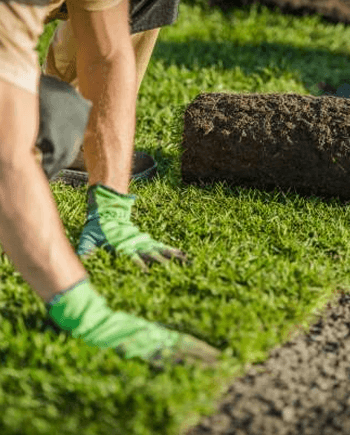 landscaping caboolture