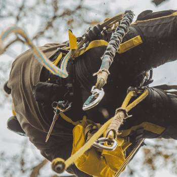 safety during land clearing