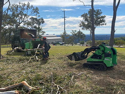 tree pruning
