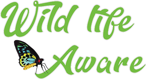 planting and maintaining native trees