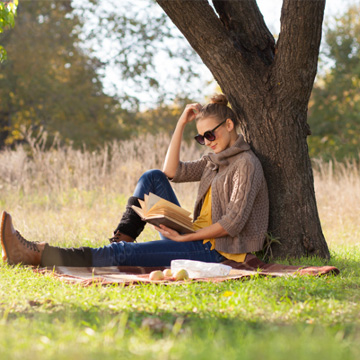 shade trees to plant