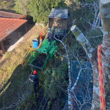 baringa bells creek nirimba tree services