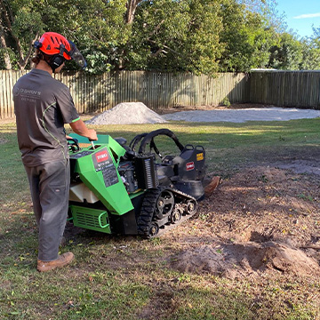 baringa bells creek nirimba tree services