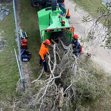 baringa bells creek nirimba tree services