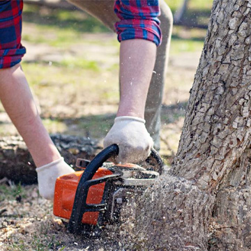 how to remove stump