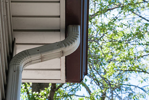 Overhanging Branches