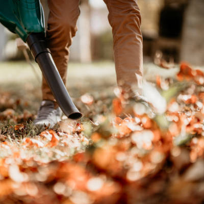 Leaf Removal and Cleanup