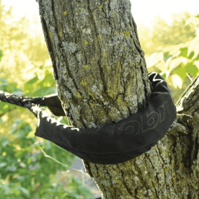 Prepare Your Trees for Storm Season