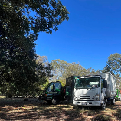 Removing Dangerous Trees