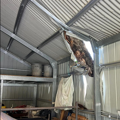 Removing Dangerous Trees