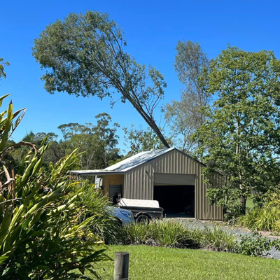 Removing Dangerous Trees
