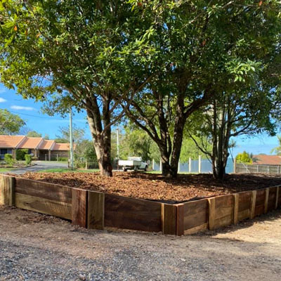 How Arborists Can Save a Dying Tree