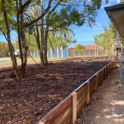 How Arborists Can Save a Dying Tree