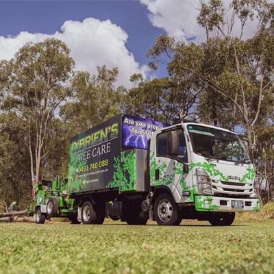 Tree Trimming: Enhancing Safety and Aesthetics for Your Trees