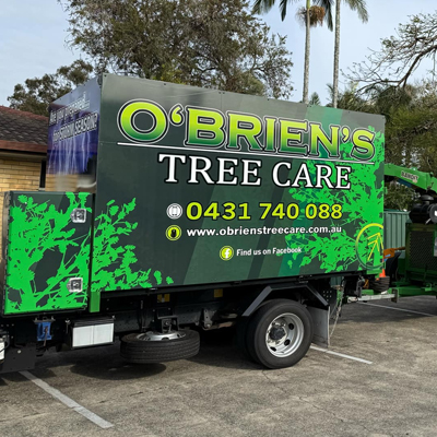 Tree Fungus in South East Queensland