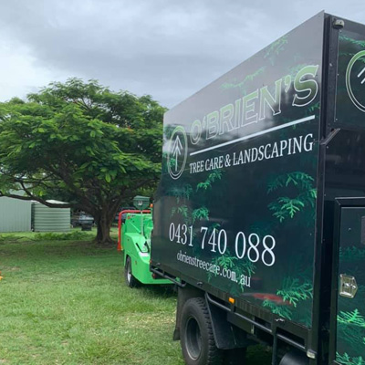 The Benefits of Mulching Around Trees: Health, Protection & Growth