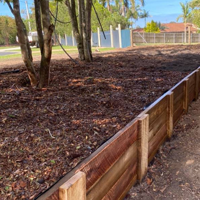 The Benefits of Mulching Around Trees: Health, Protection & Growth