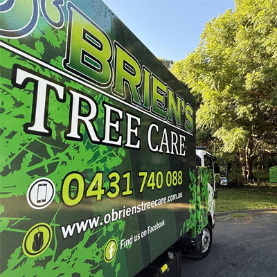Ornamental Trees and Tree Care