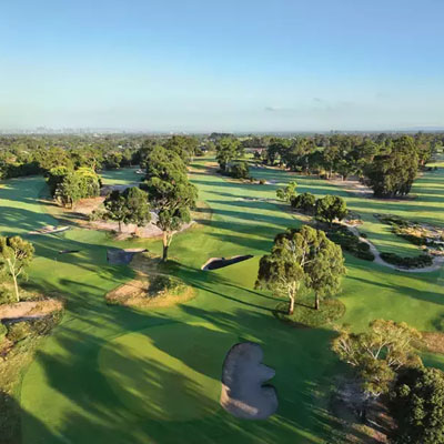 Golf Course Tree Care: Keeping Your Greens Beautiful and Healthy