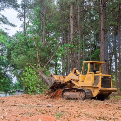 Land Clearing