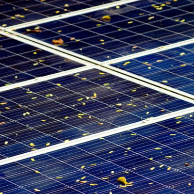 Tree Canopies & Solar Panels: How Shade Affects Efficiency & What You Can Do