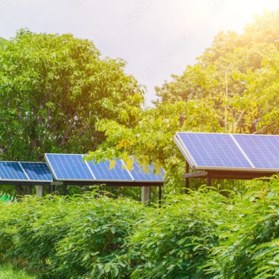 Tree Canopies & Solar Panels: How Shade Affects Efficiency & What You Can Do