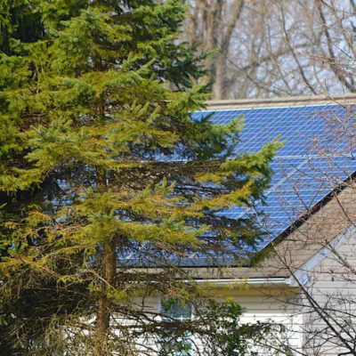 Tree Canopies & Solar Panels: How Shade Affects Efficiency & What You Can Do