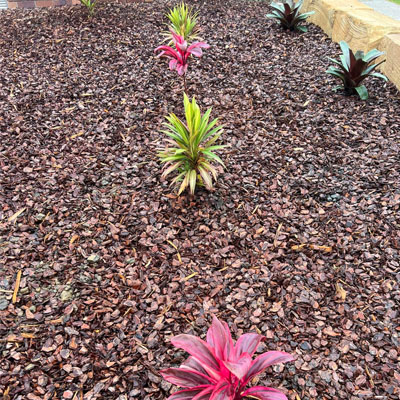 Wood Chipping Done Right: Tree Waste to Garden-Ready Mulch