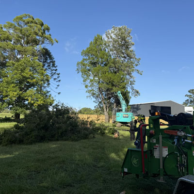 Wood Chipping Done Right: Tree Waste to Garden-Ready Mulch