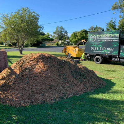 Wood Chipping Done Right: Tree Waste to Garden-Ready Mulch