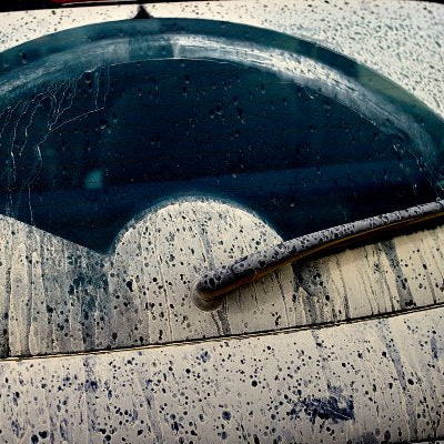 Sticky Leaves or Cars Covered in Sap: What’s Really Causing It?