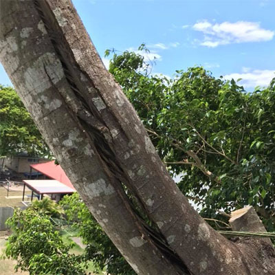 Why Some Cracks Worsen Over Time