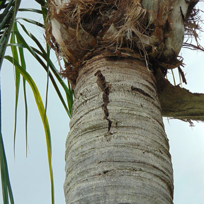 Decline Can Progress Without Obvious Warning