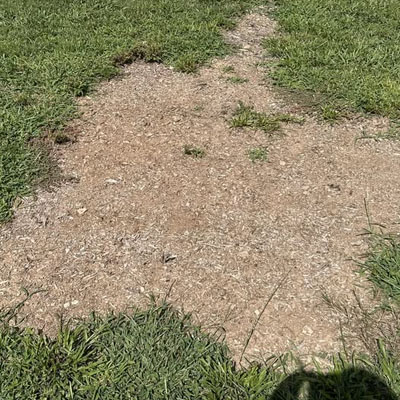 Stump Grindings: What to Do With Them After the Job - Grindings break down over time