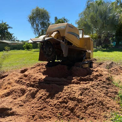Stump Grindings: What to Do With Them After the Job - Stump grindings being left in place