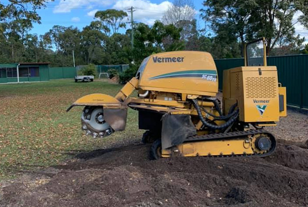 Stump Grindings: What to Do With Them After the Job
