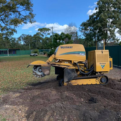 Stump Grindings: What to Do With Them After the Job - Stump grindings