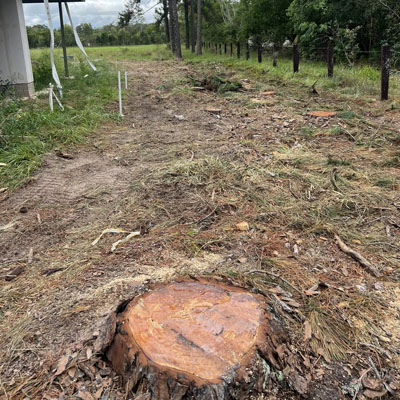 Stump Grindings: What to Do With Them After the Job - Uneven ground can cause issues for utilizing the space