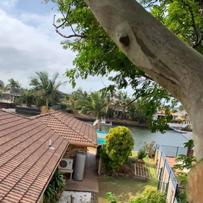 Tree Pruning for Roof and Gutter Clearance - Ensure periodical clearance checks
