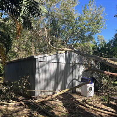 Tree Pruning for Roof and Gutter Clearance - Branches fallen on top of shed