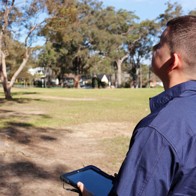 When Tree Work Needs a Qualified Arborist - Qualified arborist