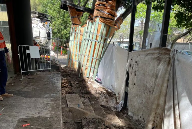 Arborist Report for Building or Renovation Work