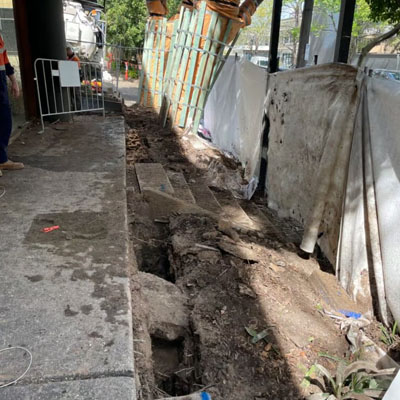 Arborist Report for Building or Renovation Work - Construction work near trees