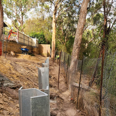 Arborist Report for Building or Renovation Work - Retaining wall construction near trees