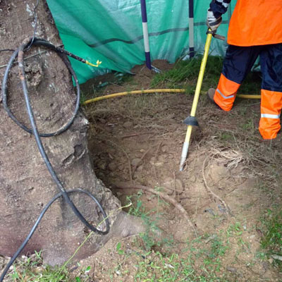 Arborist Report for Building or Renovation Work - Tree root mapping services
