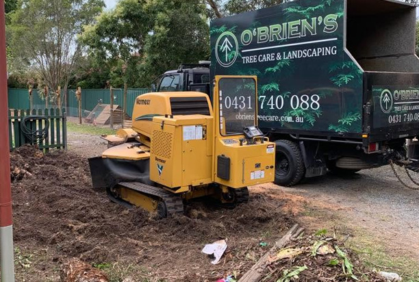 Stump Grinding vs Stump Removal