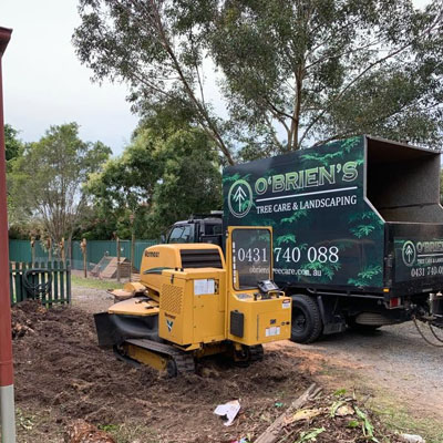 Stump Grinding vs Stump Removal - Stump grinder